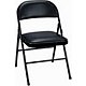 Padded Metal Folding Chair